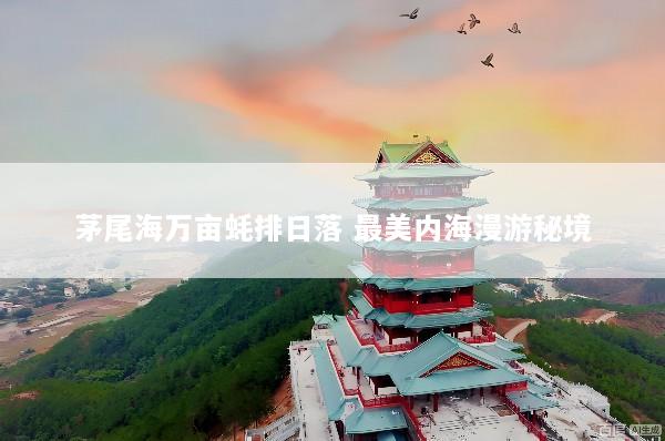 茅尾海万亩蚝排日落 最美内海漫游秘境