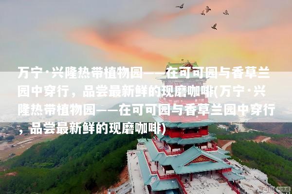 万宁·兴隆热带植物园——在可可园与香草兰园中穿行，品尝最新鲜的现磨咖啡(万宁·兴隆热带植物园——在可可园与香草兰园中穿行，品尝最新鲜的现磨咖啡)