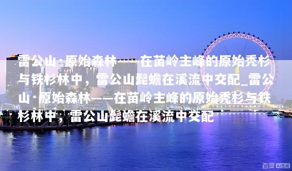 文章配图
