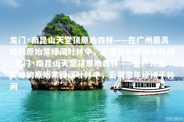 龙门·南昆山天堂顶原始森林——在广州最高峰的原始常绿阔叶林中，云雾常年缭绕于林间_龙门·南昆山天堂顶原始森林——在广州最高峰的原始常绿阔叶林中，云雾常年缭绕于林间