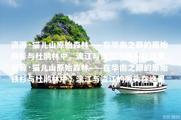 资源·猫儿山原始森林——在华南之巅的原始铁杉与杜鹃林中，漓江与资江的源头在这里_资源·猫儿山原始森林——在华南之巅的原始铁杉与杜鹃林中，漓江与资江的源头在这里