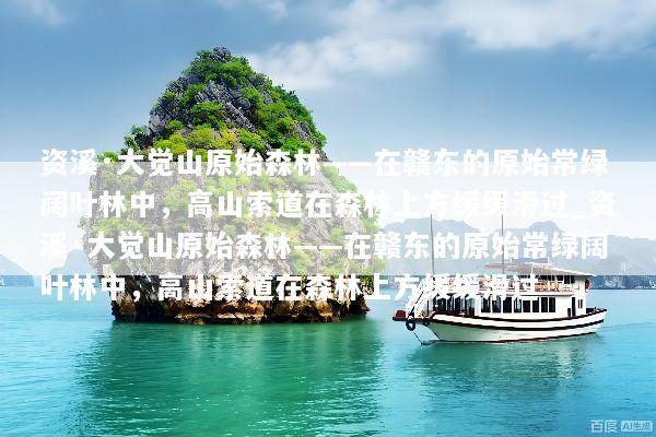 资溪·大觉山原始森林——在赣东的原始常绿阔叶林中，高山索道在森林上方缓缓滑过_资溪·大觉山原始森林——在赣东的原始常绿阔叶林中，高山索道在森林上方缓缓滑过
