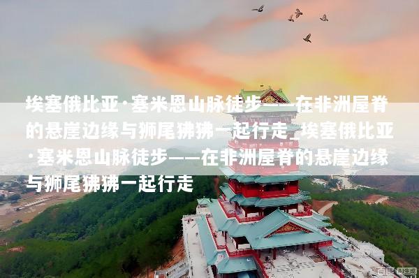埃塞俄比亚·塞米恩山脉徒步——在非洲屋脊的悬崖边缘与狮尾狒狒一起行走_埃塞俄比亚·塞米恩山脉徒步——在非洲屋脊的悬崖边缘与狮尾狒狒一起行走