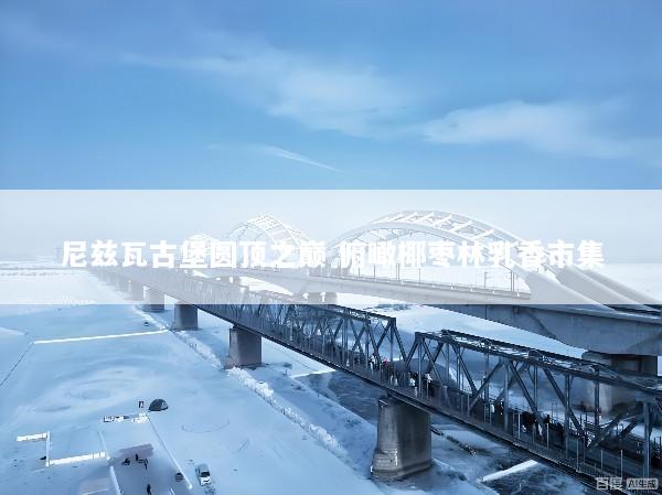 尼兹瓦古堡圆顶之巅 俯瞰椰枣林乳香市集