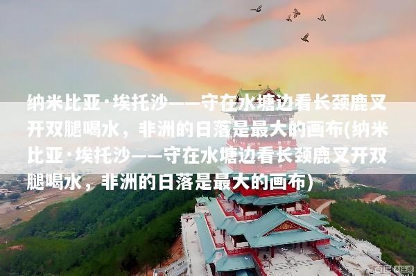 纳米比亚·埃托沙——守在水塘边看长颈鹿叉开双腿喝水，非洲的日落是最大的画布(纳米比亚·埃托沙——守在水塘边看长颈鹿叉开双腿喝水，非洲的日落是最大的画布)