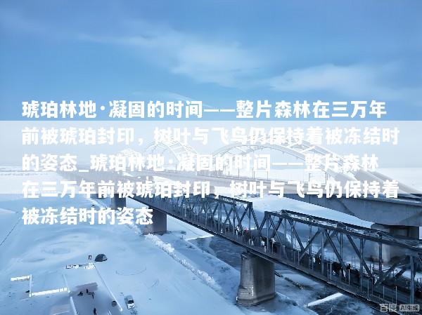 琥珀林地·凝固的时间——整片森林在三万年前被琥珀封印，树叶与飞鸟仍保持着被冻结时的姿态_琥珀林地·凝固的时间——整片森林在三万年前被琥珀封印，树叶与飞鸟仍保持着被冻结时的姿态