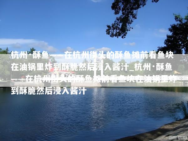 杭州·酥鱼——在杭州街头的酥鱼摊前看鱼块在油锅里炸到酥脆然后浸入酱汁_杭州·酥鱼——在杭州街头的酥鱼摊前看鱼块在油锅里炸到酥脆然后浸入酱汁