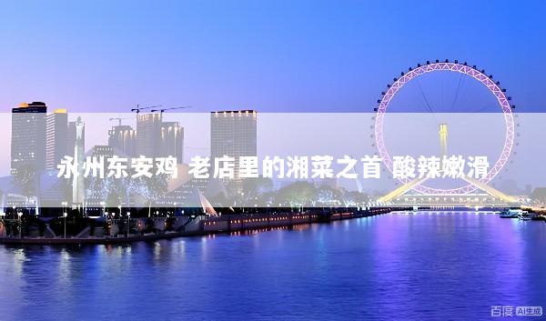 永州东安鸡 老店里的湘菜之首 酸辣嫩滑