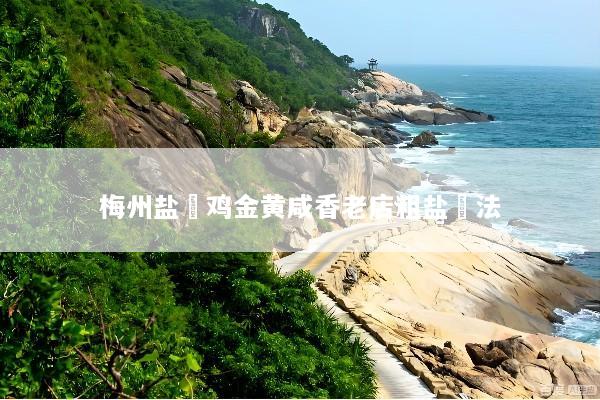 梅州盐焗鸡金黄咸香老店粗盐焗法