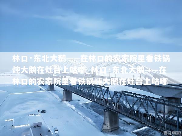 林口·东北大鹅——在林口的农家院里看铁锅炖大鹅在灶台上咕嘟_林口·东北大鹅——在林口的农家院里看铁锅炖大鹅在灶台上咕嘟